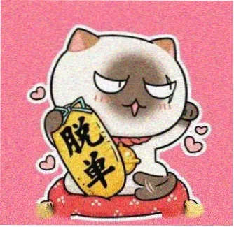 用户 录像厅小张 的头像